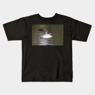 Silver Gull in Flight Kids T-Shirt